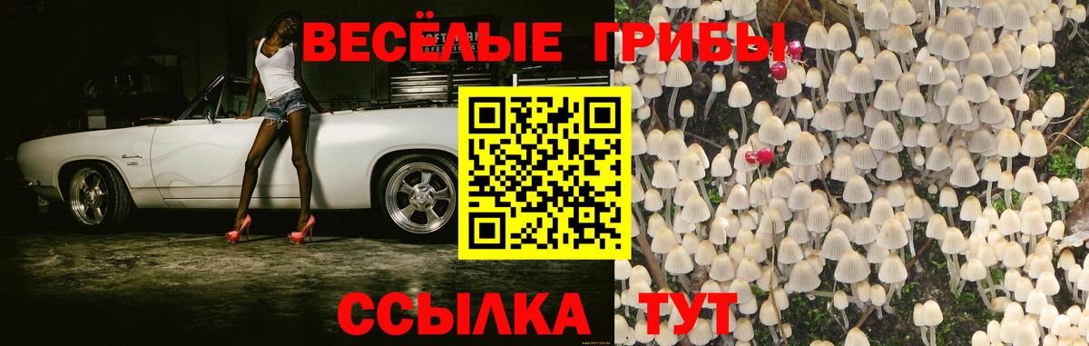 Галлюциногенные грибы Cubensis  Вход с VPN  Электросталь 